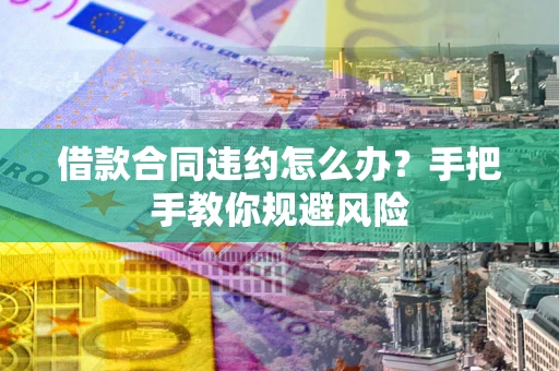 武汉借款合同违约怎么办？手把手教你规避风险
