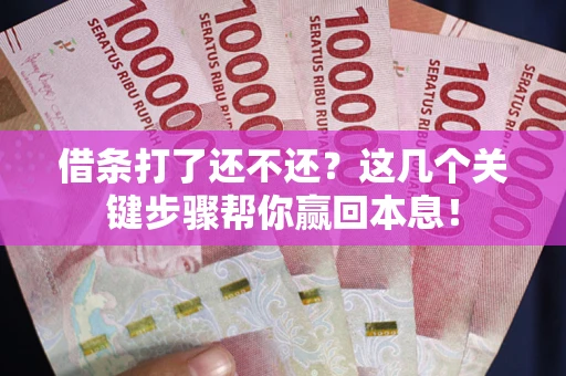 武汉借条打了还不还？这几个关键步骤帮你赢回本息！