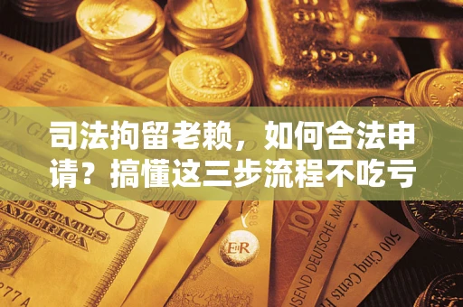 武汉司法拘留老赖，如何合法申请？搞懂这三步流程不吃亏！