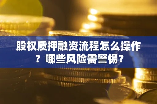 武汉股权质押融资流程怎么操作？哪些风险需警惕？
