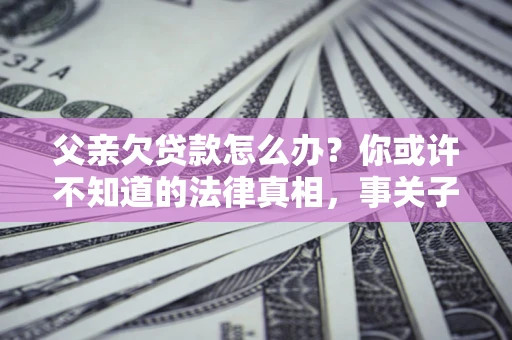 武汉父亲欠贷款怎么办？你或许不知道的法律真相，事关子女未来