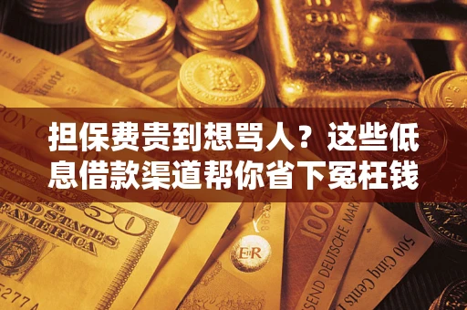 武汉担保费贵到想骂人？这些低息借款渠道帮你省下冤枉钱