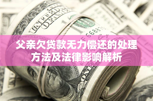 武汉父亲欠贷款无力偿还的处理方法及法律影响解析