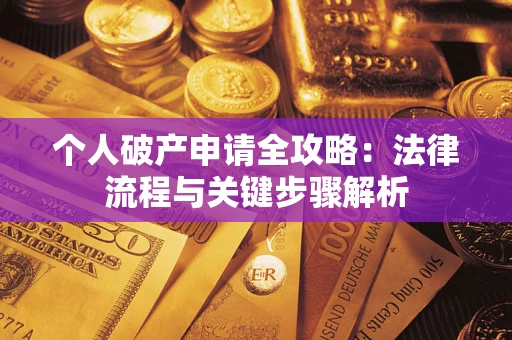 武汉个人破产申请全攻略：法律流程与关键步骤解析