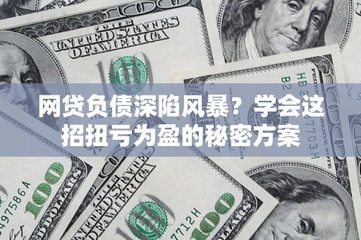 武汉网贷负债深陷风暴？学会这招扭亏为盈的秘密方案