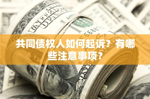 武汉共同债权人如何起诉？有哪些注意事项？